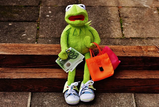 unhappy kermit frog experiencing post purchase dissonance with 100 euro bill and shopping bags in hands